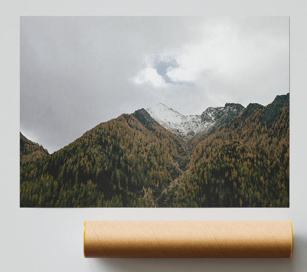 Gray Skies, Green Pines. Poster