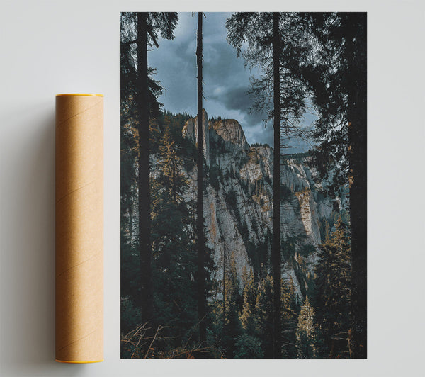 Grey Cliffs Through Trees Print