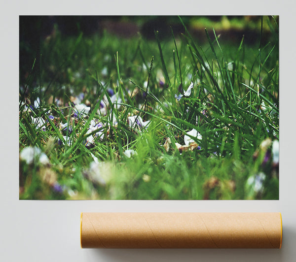 Green And Lavender Dreams Print