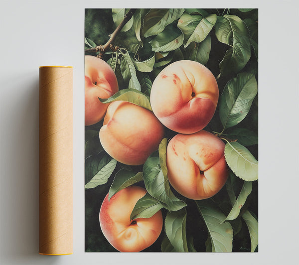 Peachy Green Hues Giclee Print