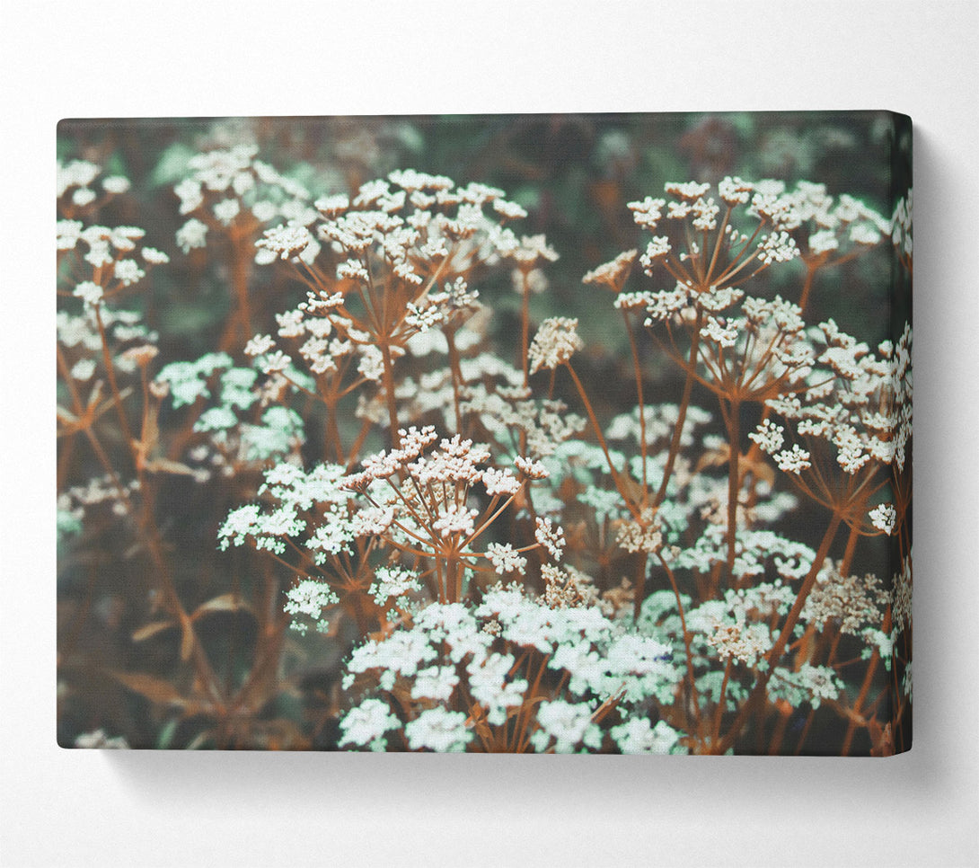  A Canvas Print of Green And White Blooms Canvas Art