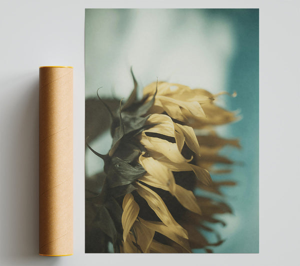 Golden Sun-Kissed Petals Giclee Print