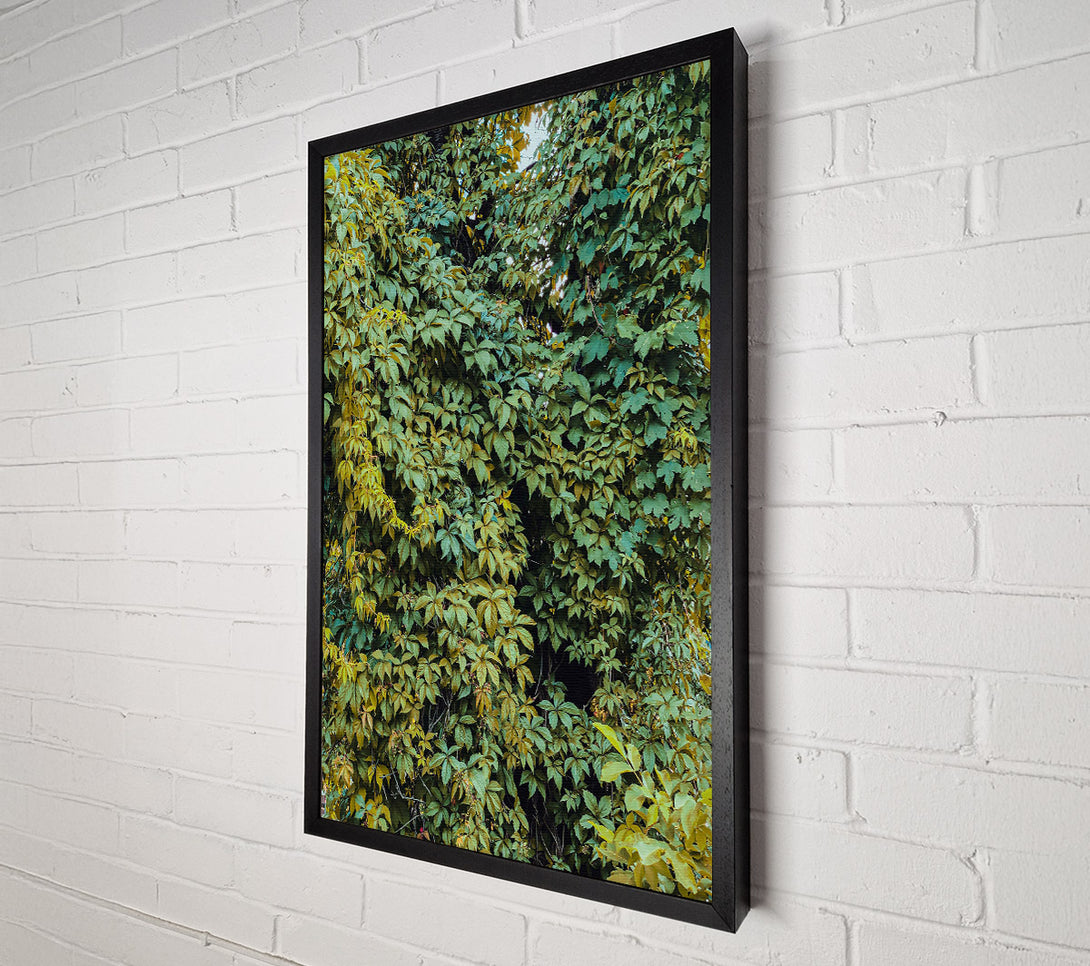  A Canvas Print of Emerald Leaf Canopy Canvas Art