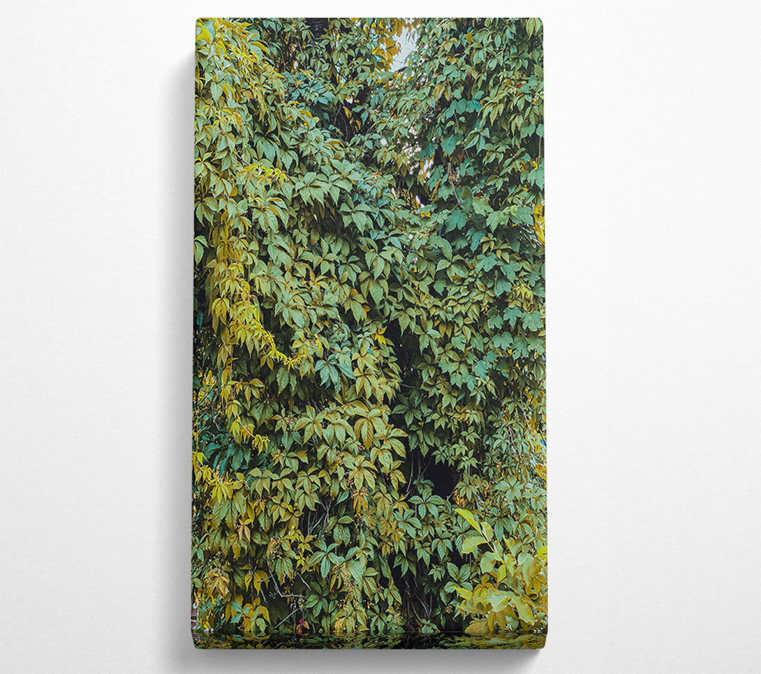  A Canvas Print of Emerald Leaf Canopy Canvas Art