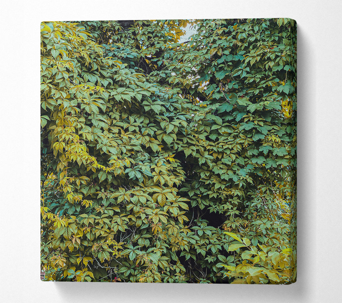  A Canvas Print of Emerald Leaf Canopy Canvas Art