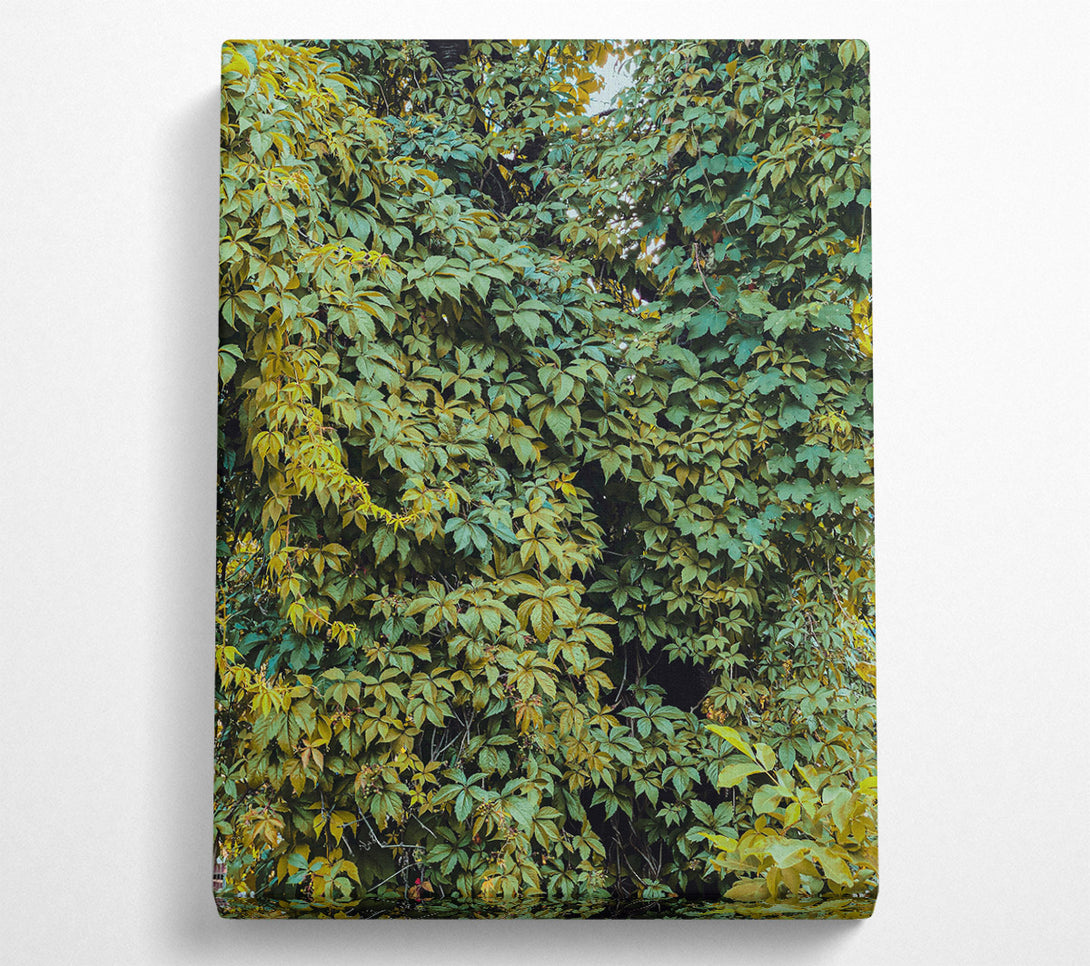  A Canvas Print of Emerald Leaf Canopy Canvas Art