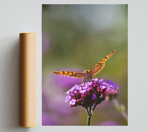 Purple Bloom'S Orange Guest Giclee Print