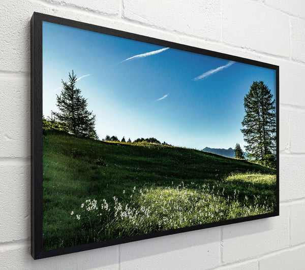 Blue Sky Meadow