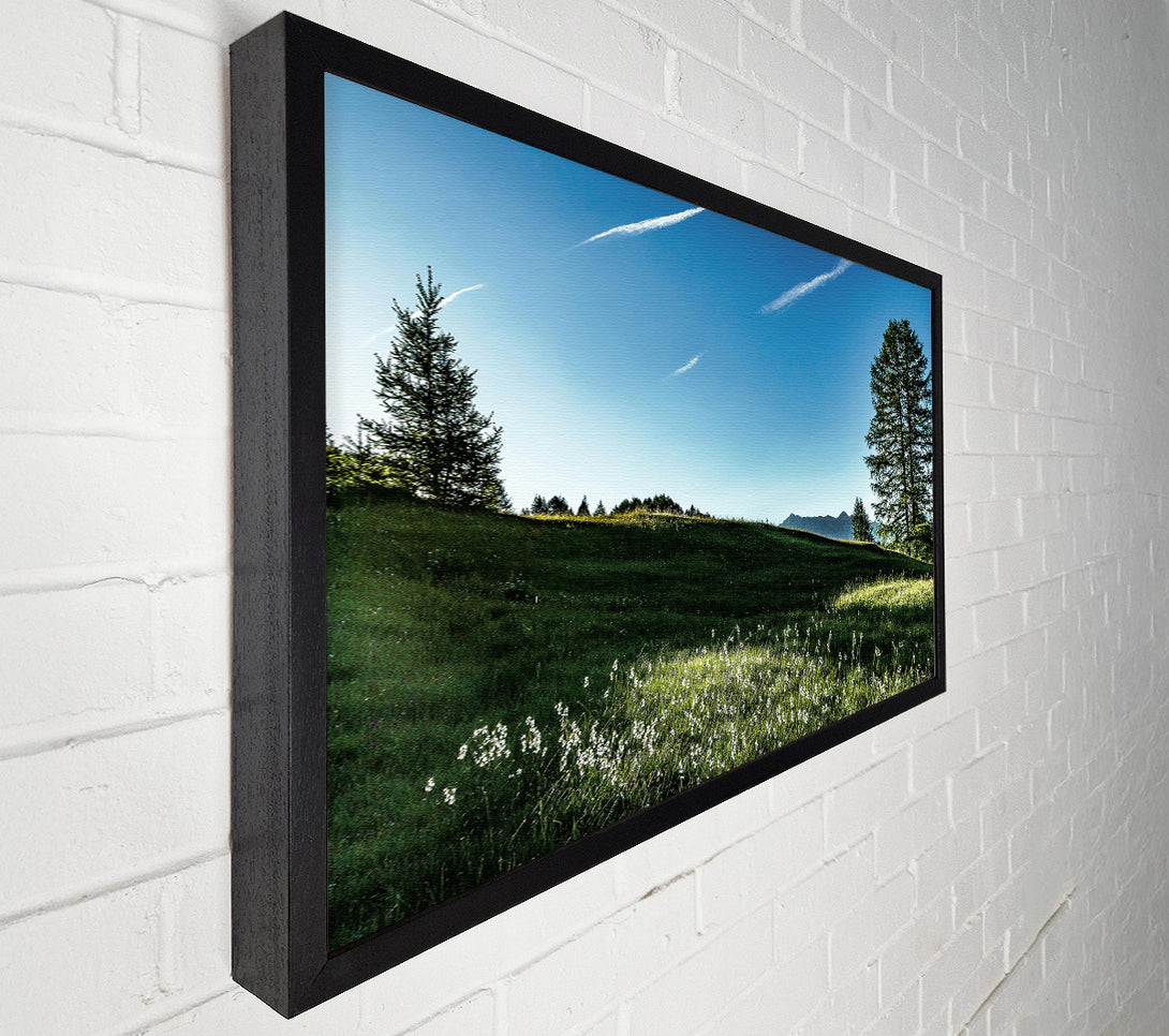  A Canvas Print of Blue Sky Meadow Canvas Art