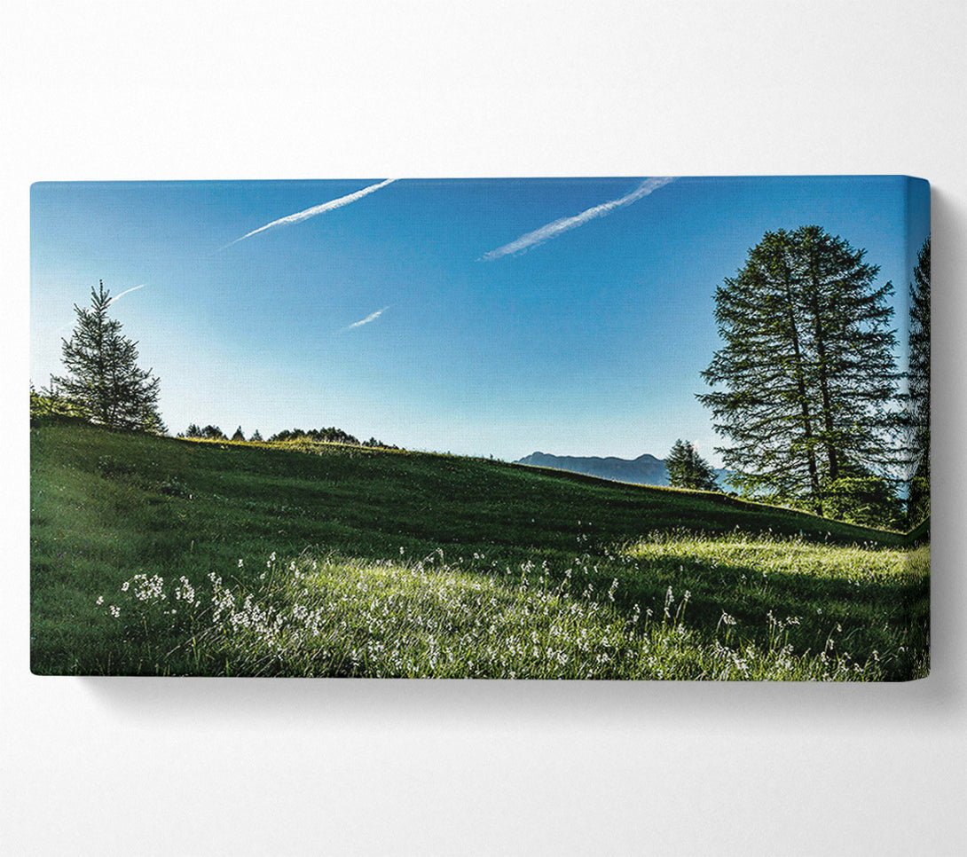  A Canvas Print of Blue Sky Meadow Canvas Art