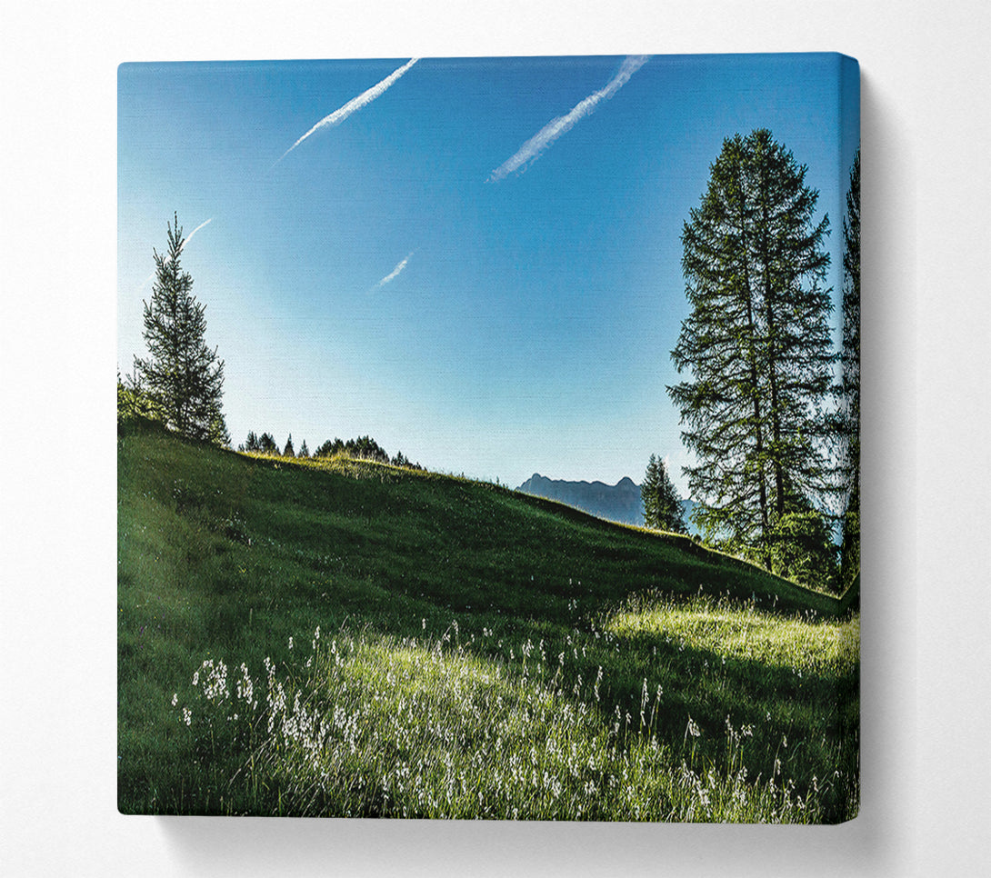  A Canvas Print of Blue Sky Meadow Canvas Art
