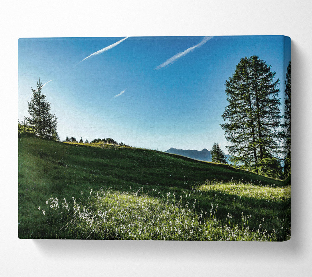  A Canvas Print of Blue Sky Meadow Canvas Art