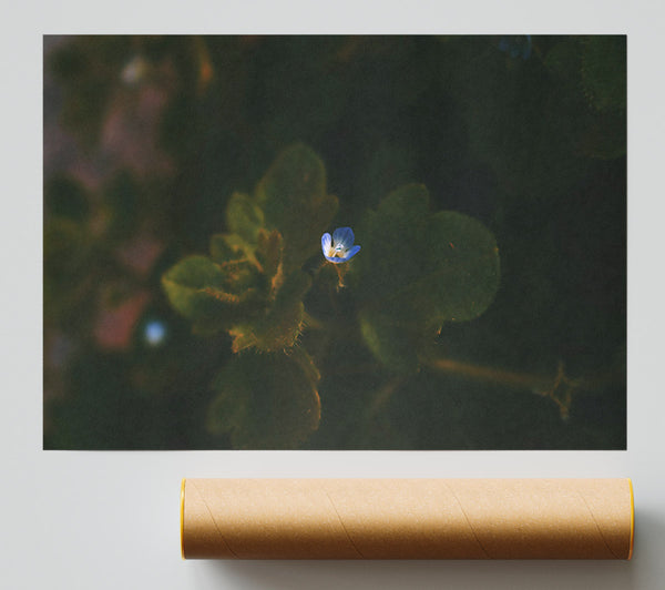 Green And Blue Bloom Print