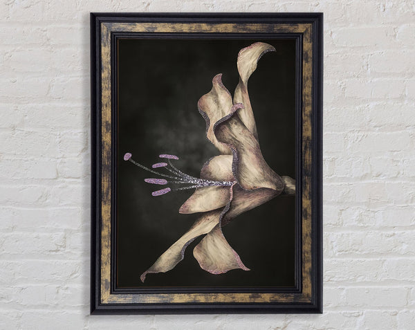 Dark Flower Framed Print