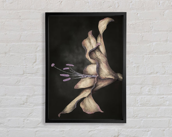 Dark Flower Framed Print
