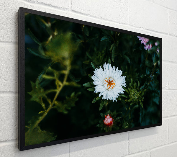 White Bloom In Green