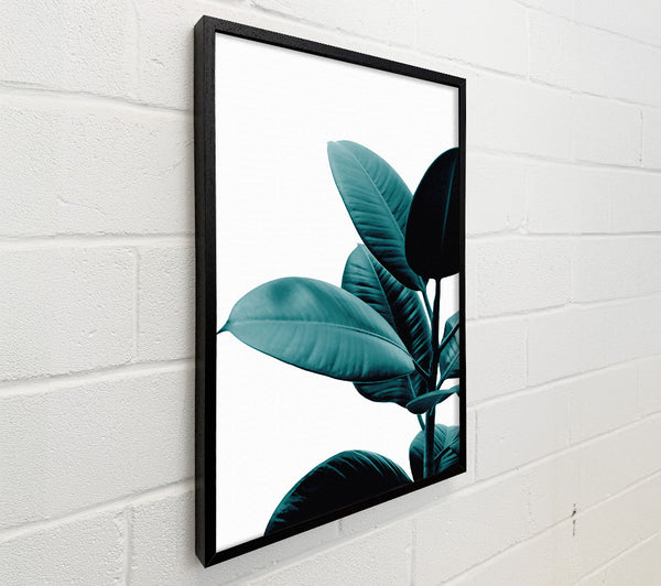 Dark Turquoise Plant