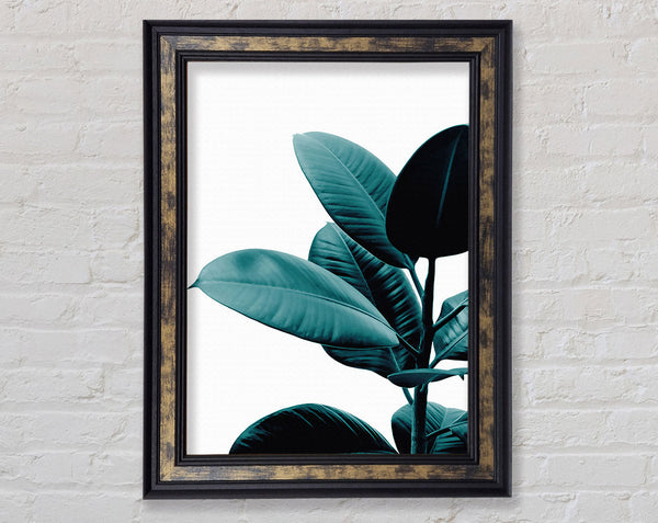 Dark Turquoise Plant Framed Print