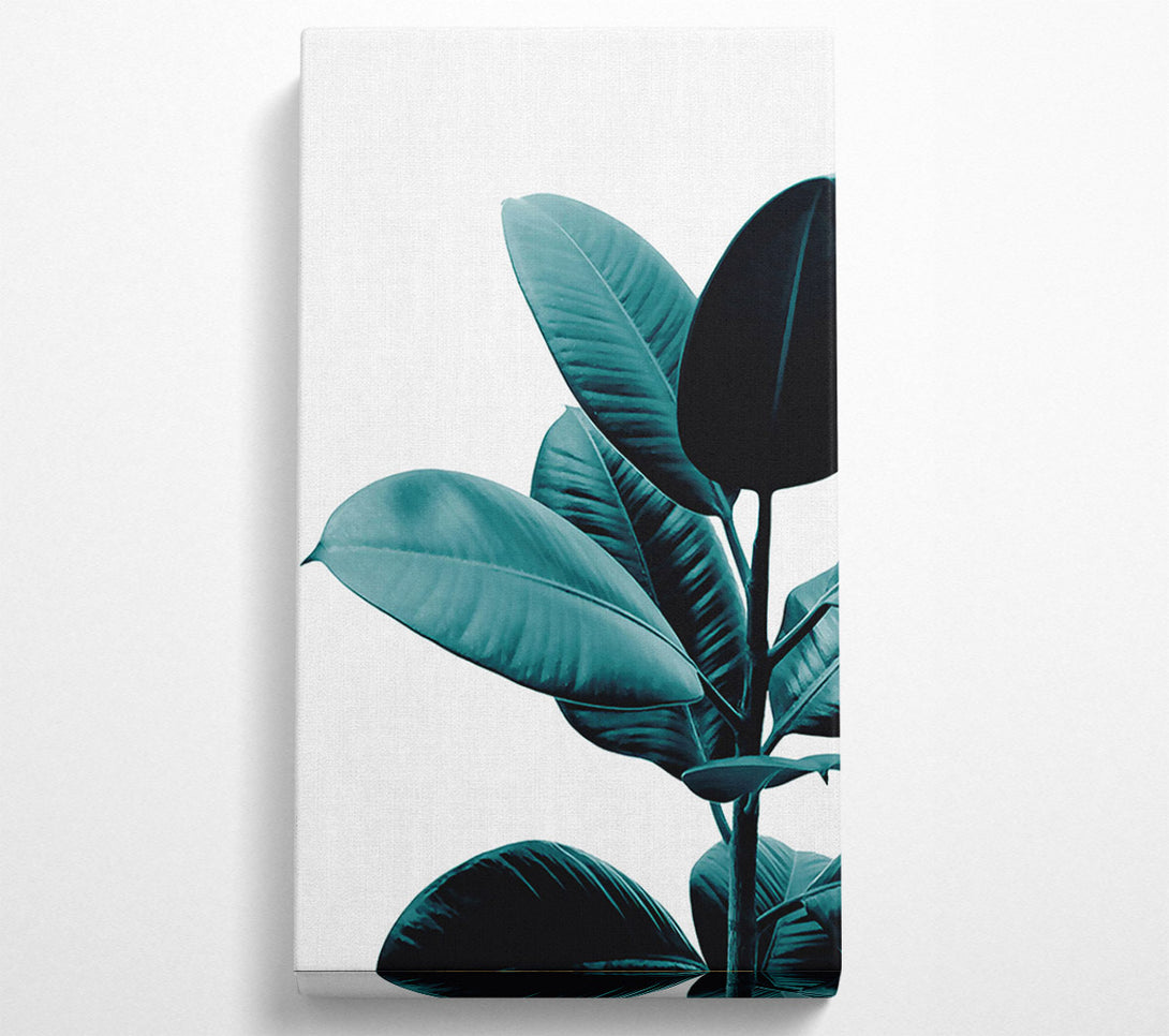  A Canvas Print of Dark Turquoise Plant Canvas Wall Art