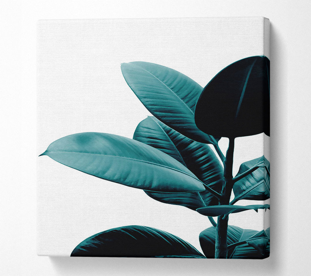  A Canvas Print of Dark Turquoise Plant Canvas Wall Art