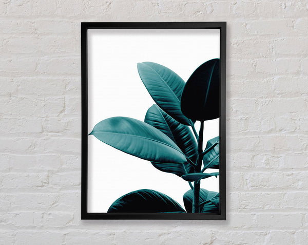 Dark Turquoise Plant Framed Print