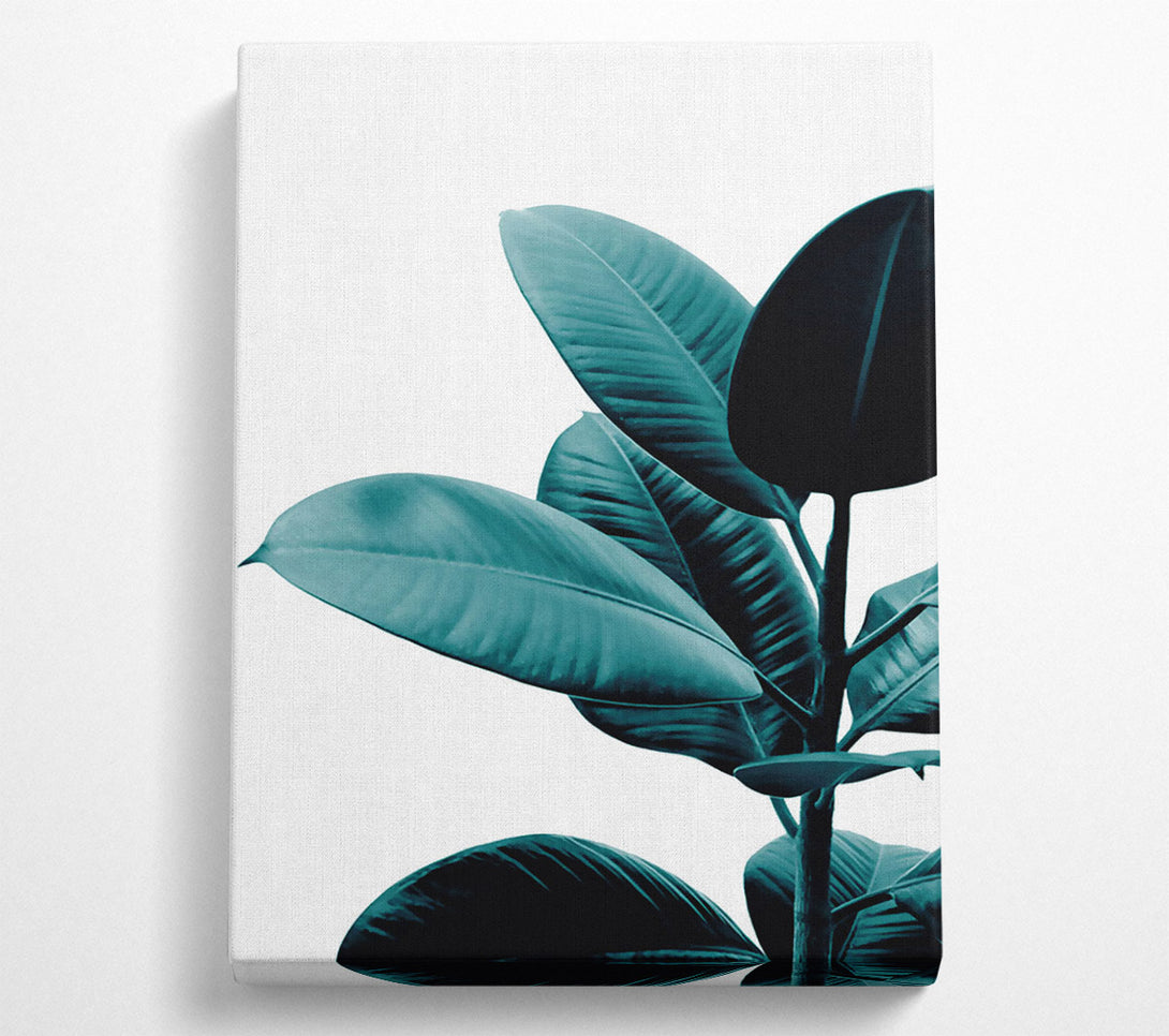  A Canvas Print of Dark Turquoise Plant Canvas Wall Art