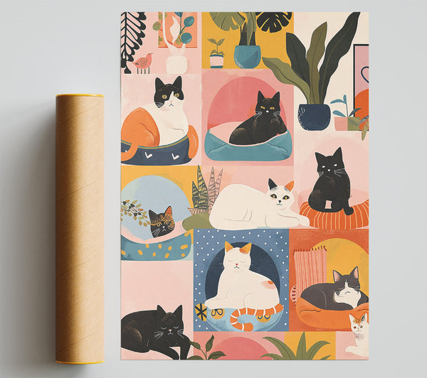 Pink Cat Naptime Poster