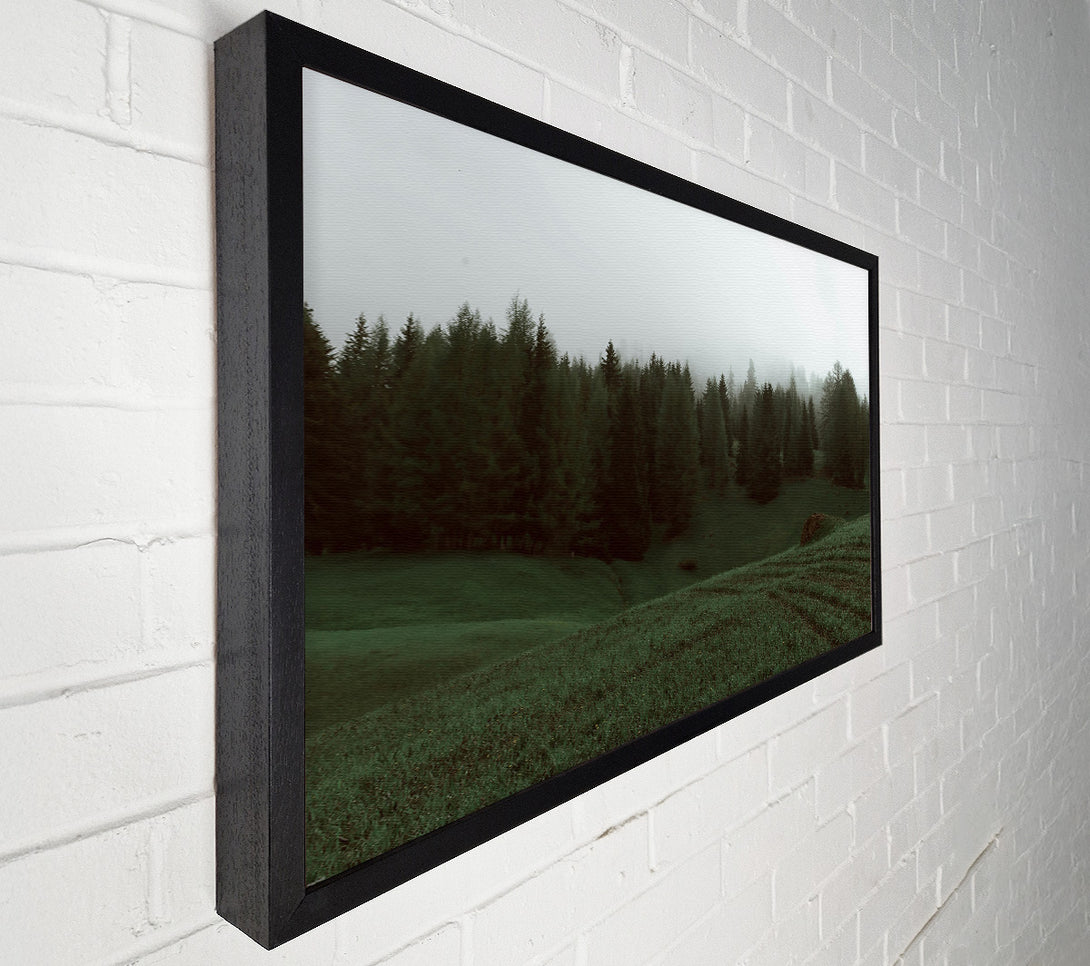  A Canvas Print of Emerald Foggy Forest Canvas Print