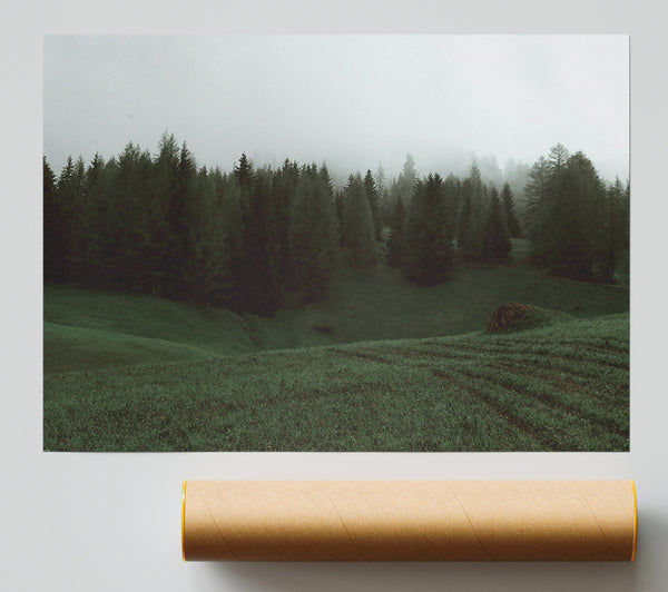 Emerald Foggy Forest Print