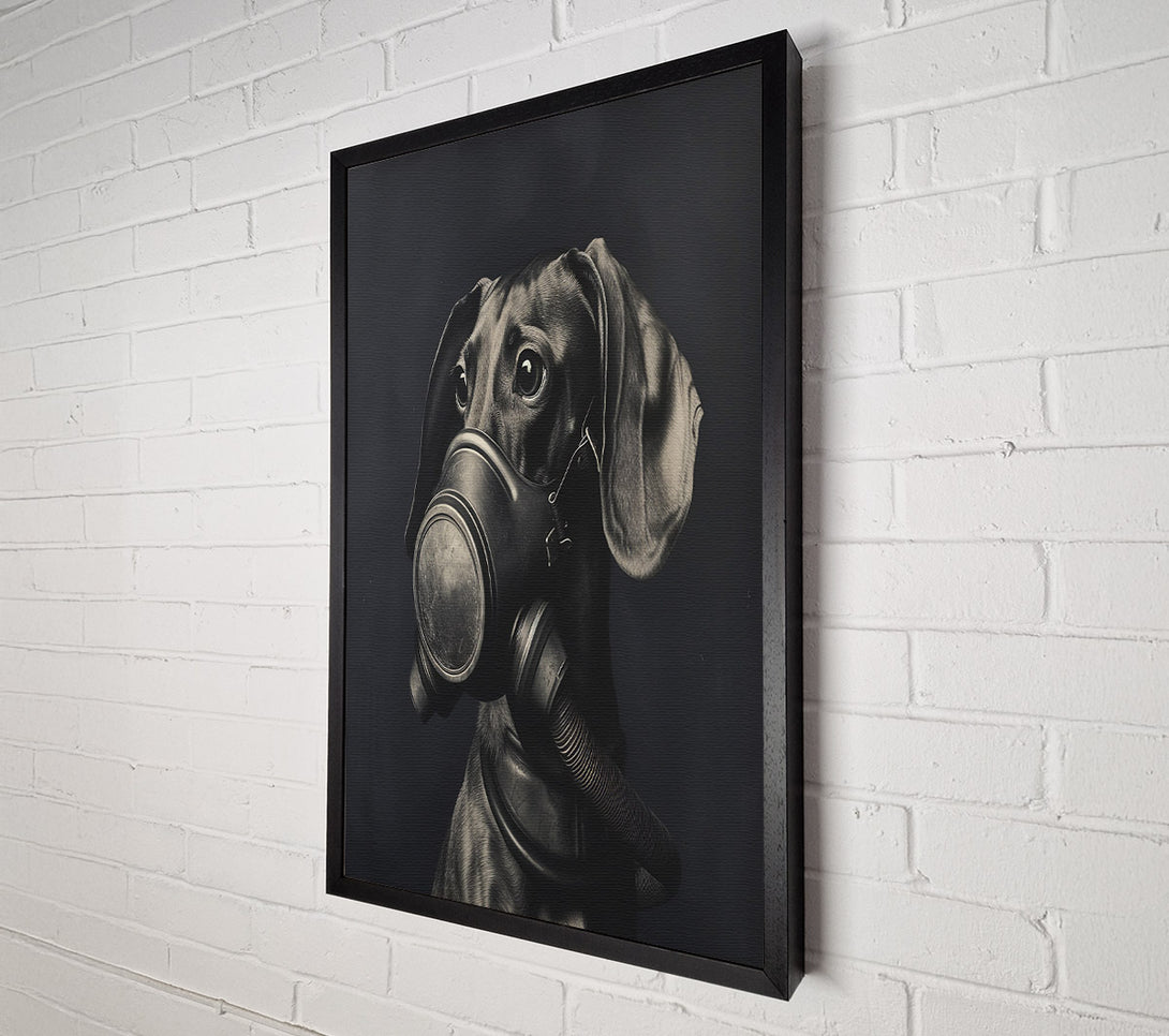  A Canvas Print of Daschound Gasmask Canvas Art
