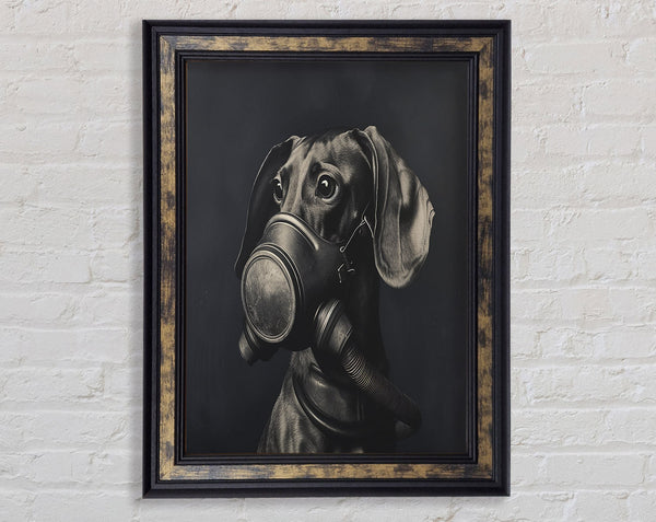 Daschound Gasmask Framed Print