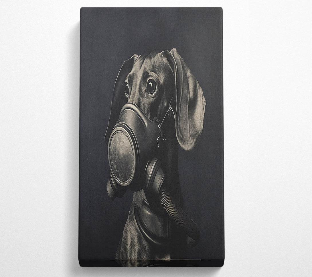  A Canvas Print of Daschound Gasmask Canvas Art