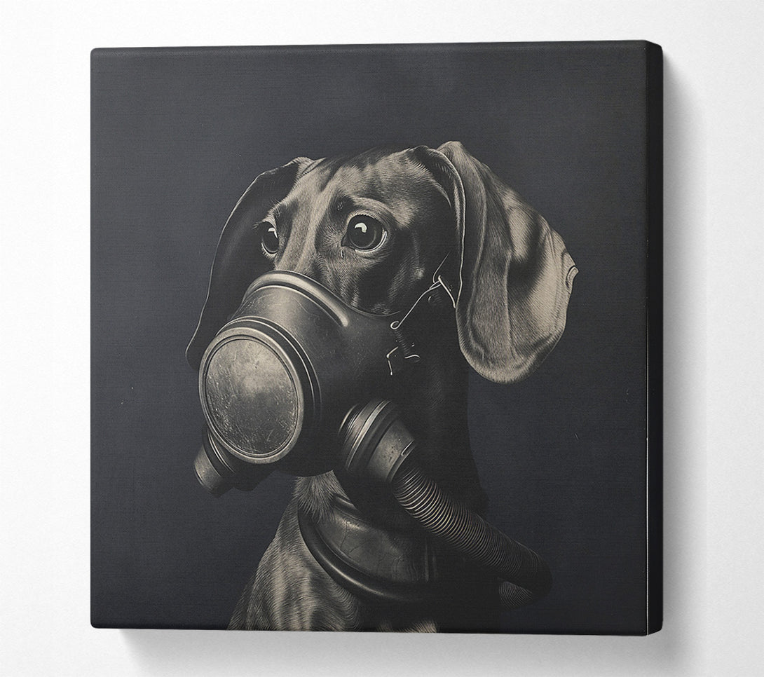  A Canvas Print of Daschound Gasmask Canvas Art