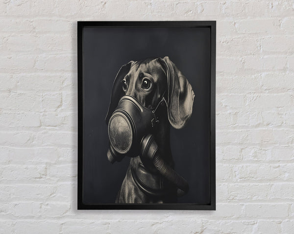 Daschound Gasmask Framed Print