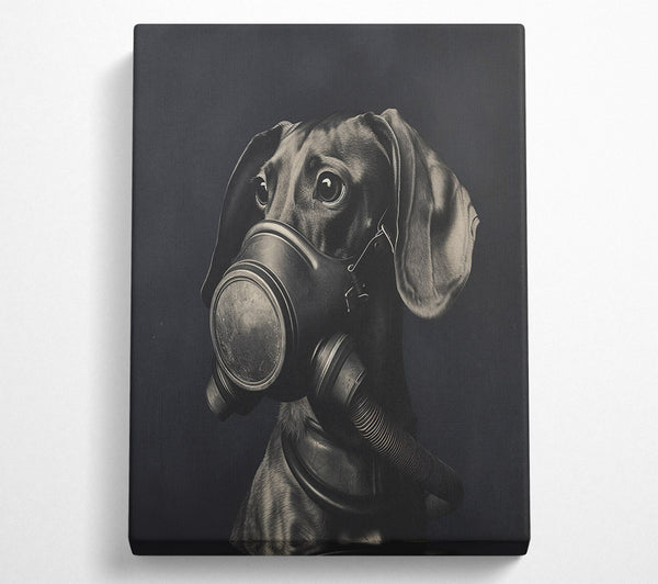  A Canvas Print of Daschound Gasmask Canvas Art