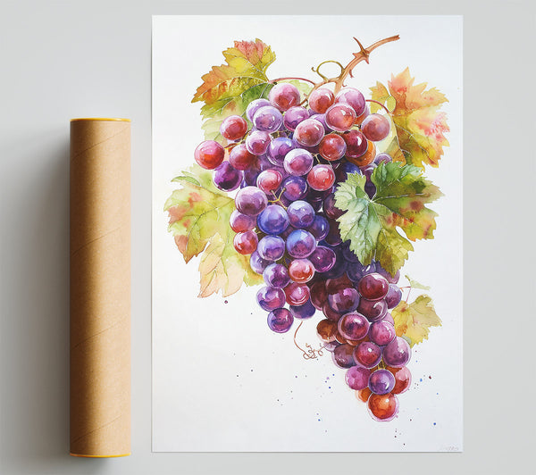 Purple Grape Harvest Print
