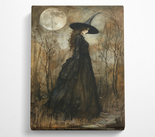  A Canvas Print of Moonlit Black Dress Canvas Art