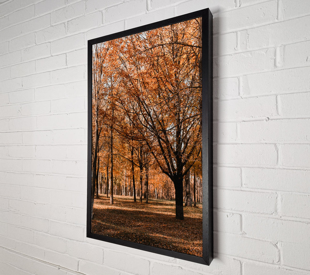  A Canvas Print of Golden Autumn Woods Canvas Art