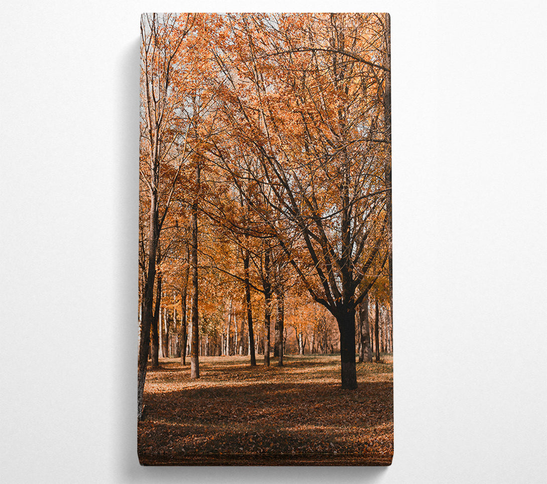  A Canvas Print of Golden Autumn Woods Canvas Art