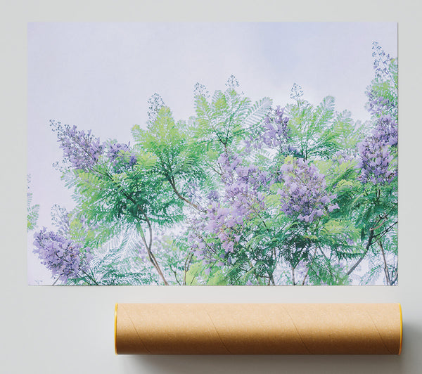 Lilac Canopy Dreams Poster