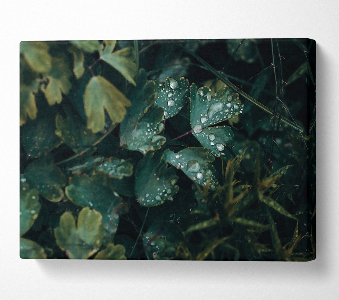  A Canvas Print of Emerald Dew Drops Canvas Wall Art