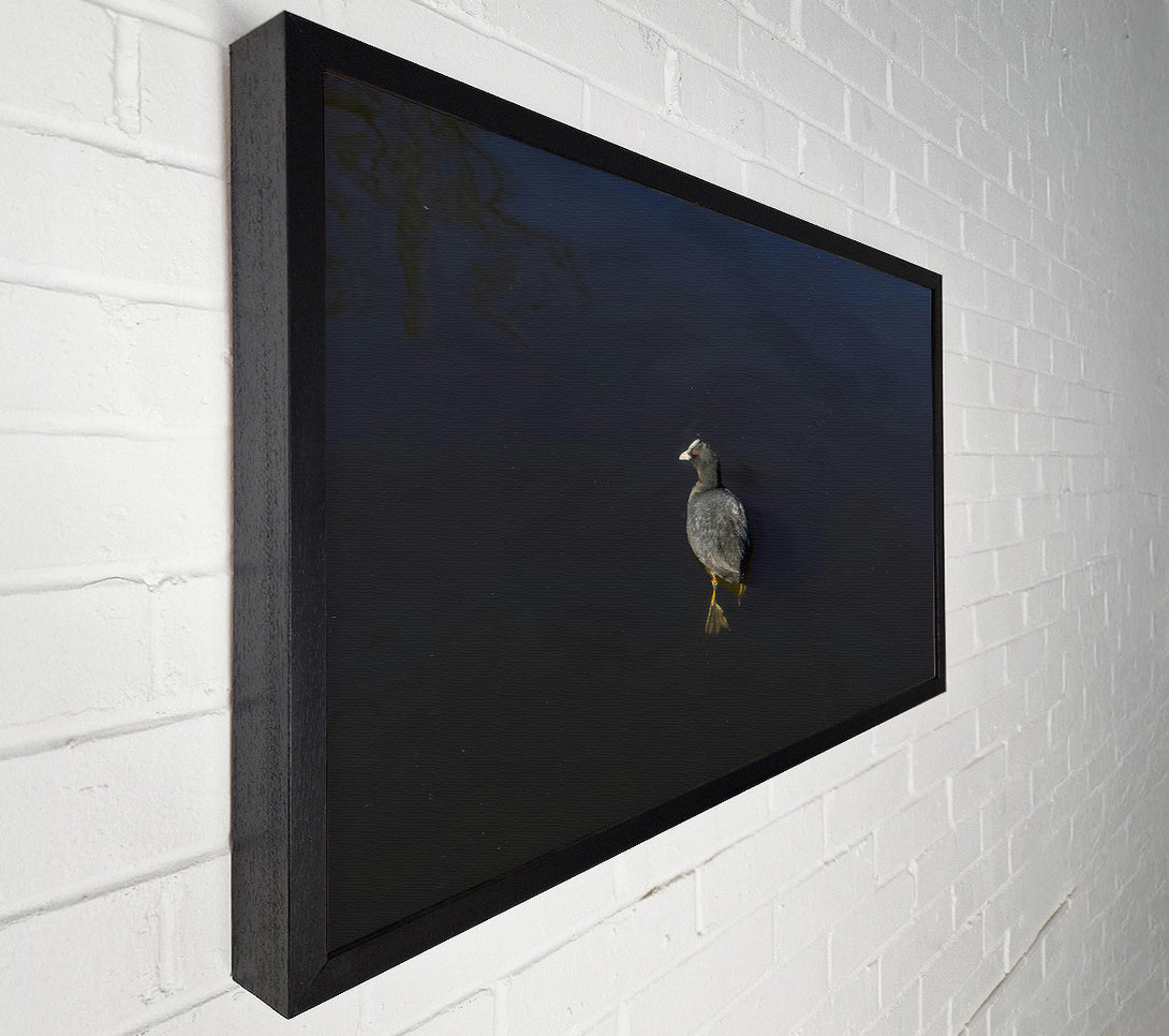  A Canvas Print of Black Water Solitude Canvas Wall Art