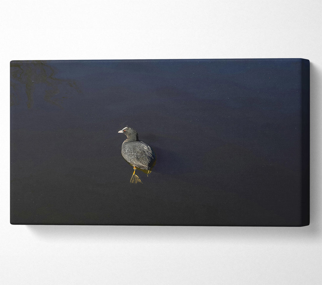  A Canvas Print of Black Water Solitude Canvas Wall Art