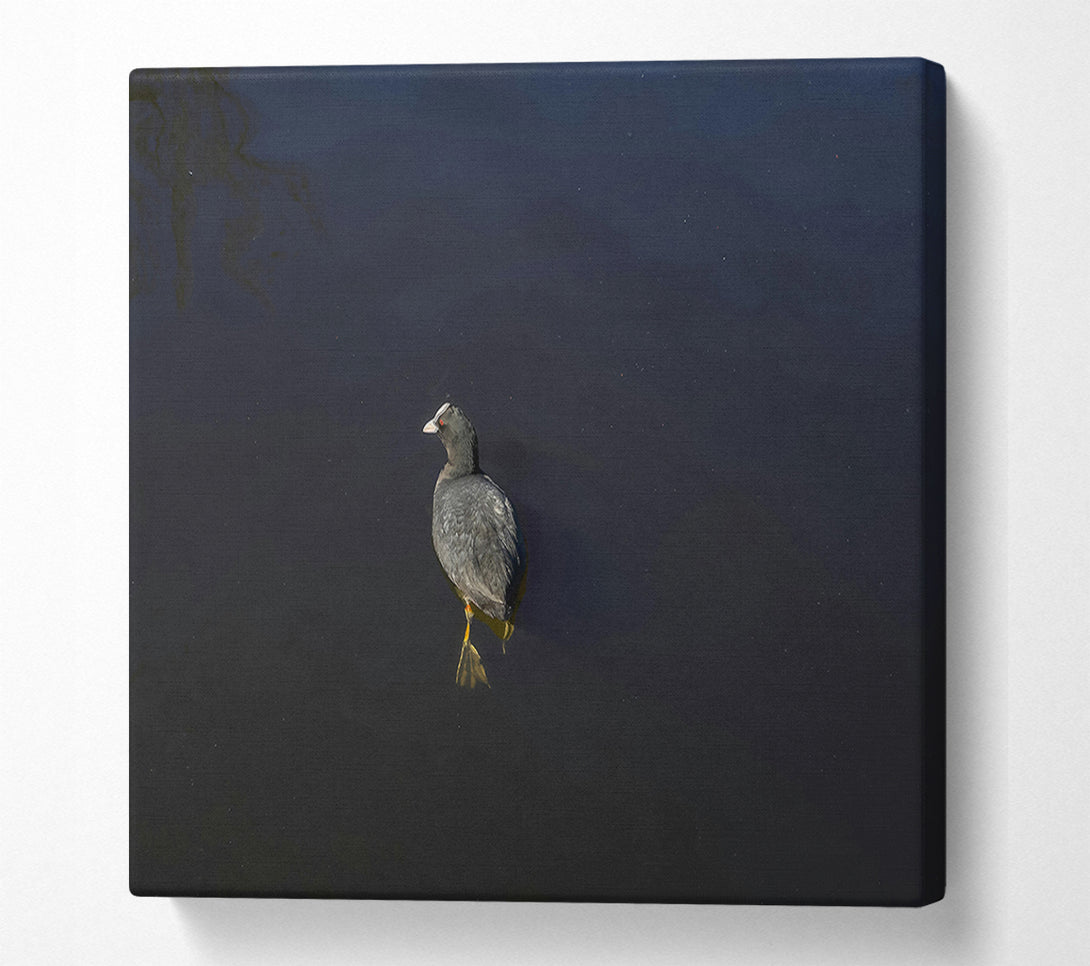  A Canvas Print of Black Water Solitude Canvas Wall Art