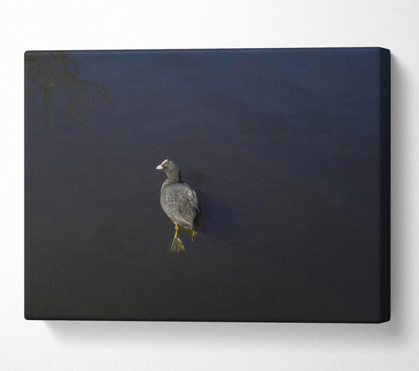  A Canvas Print of Black Water Solitude Canvas Wall Art
