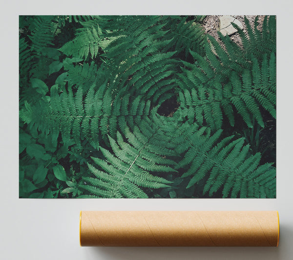 Emerald Fern Embrace Giclee Print