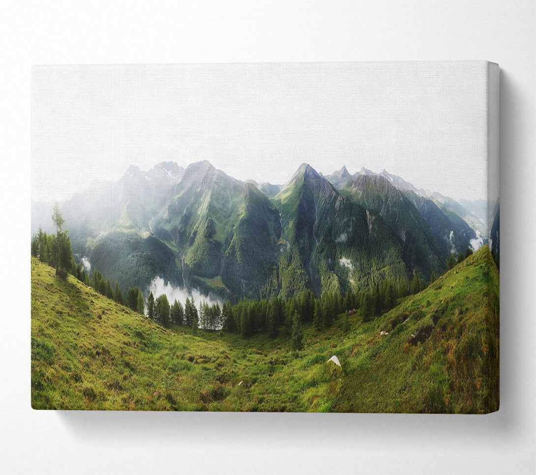  A Canvas Print of Emerald Mountain Mist Canvas Wall Art