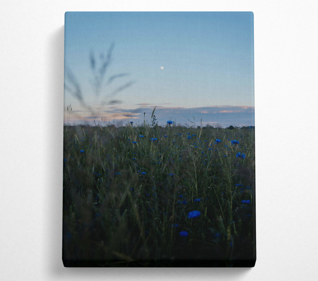  A Canvas Print of Blue Dusk Field Canvas Art