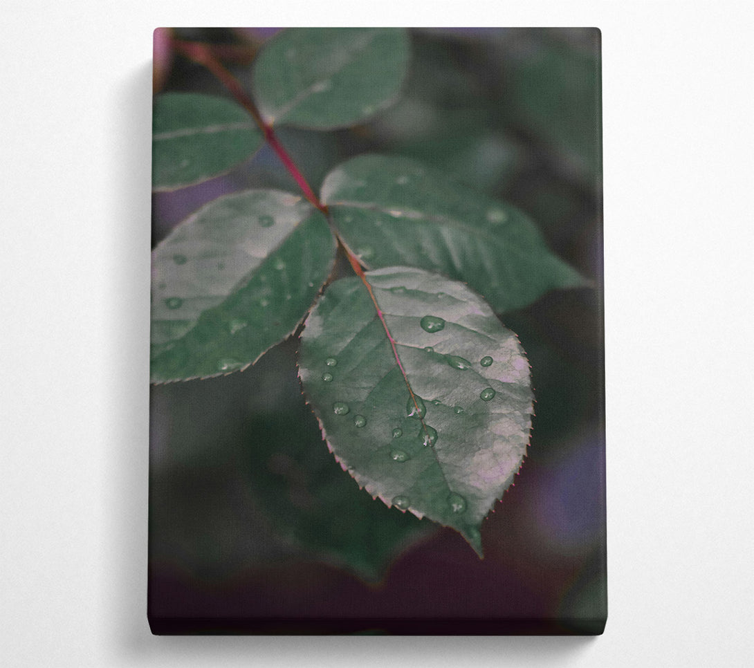  A Canvas Print of Emerald Dew Drops Canvas Wall Art