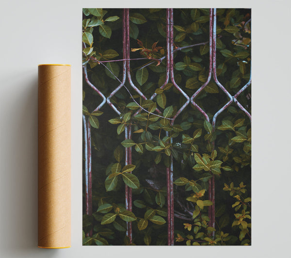 Rusty Green Enclosure Print